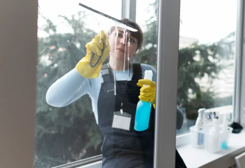 Nettoyage de vitres intérieures et extérieures à la Roche-Posay